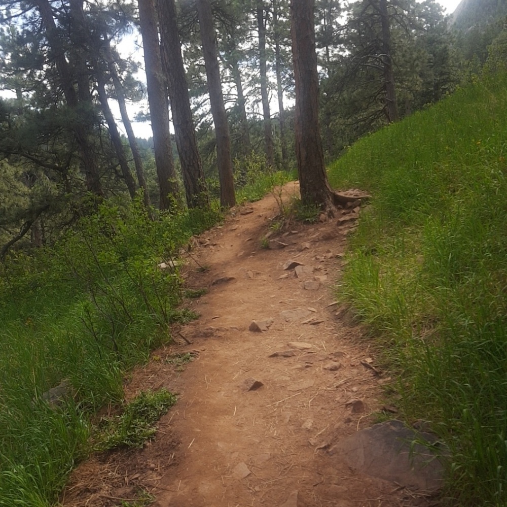 Meet your Posher, Rose